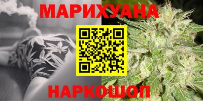 сатива Аргун